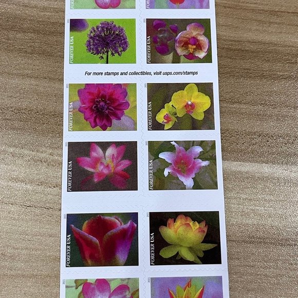 USPS first-class wedding celebration anniversary flower party 25 volumes 500 pcs - Picture 3 of 3